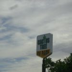 Cactus Tree Sign